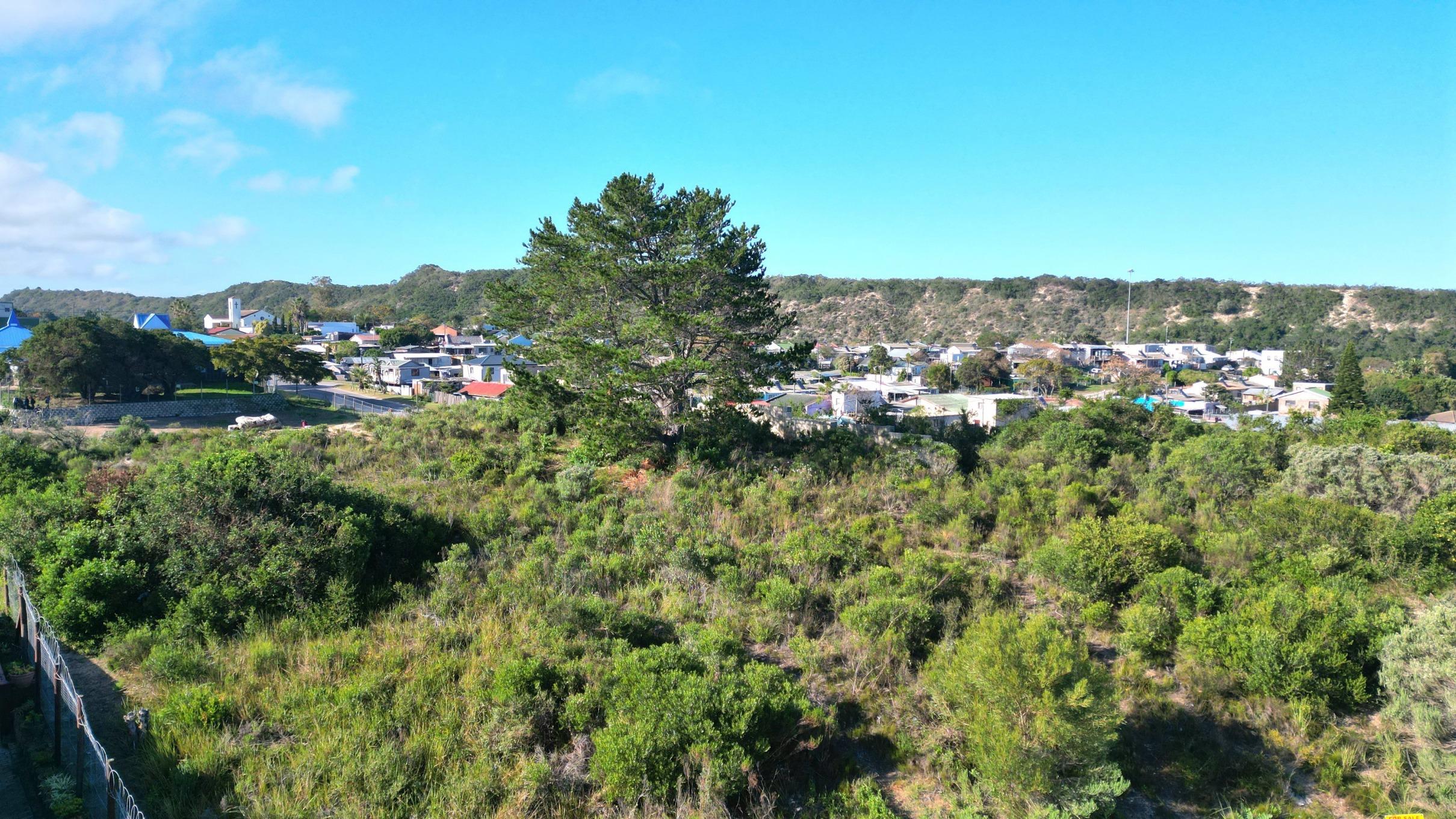 Image 3 of 6