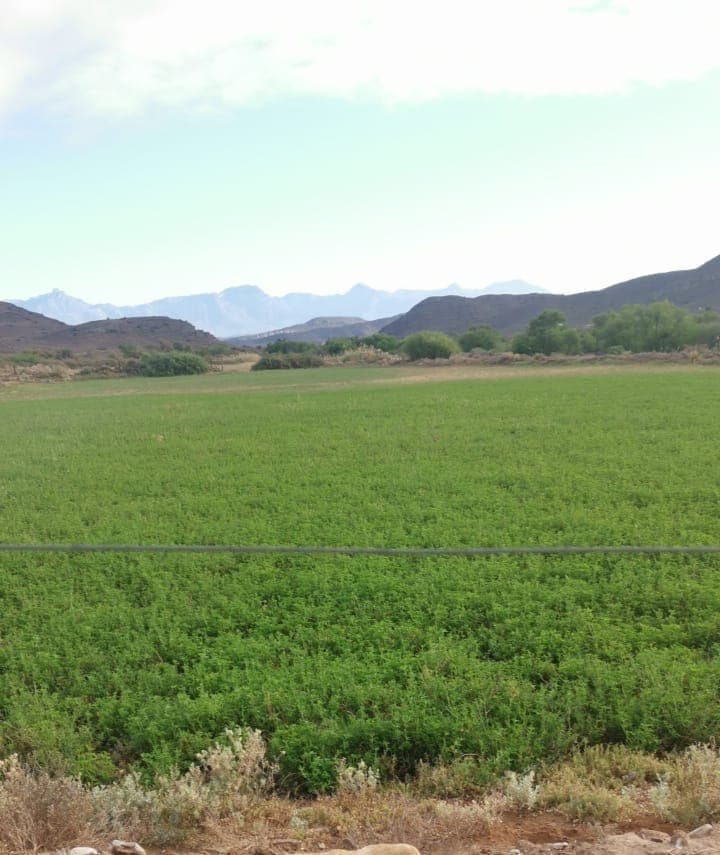 Image 4 of 6