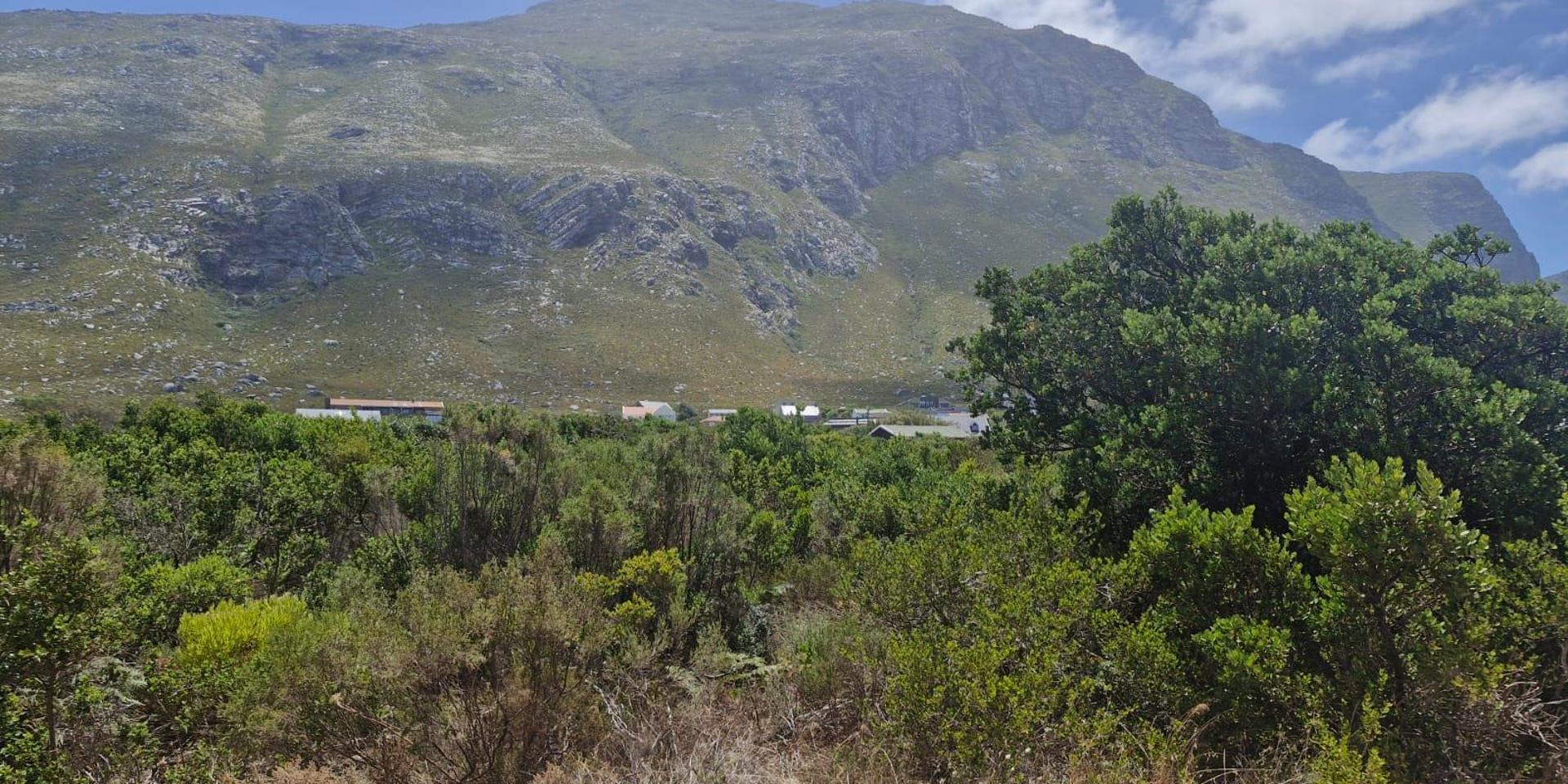 Image 2 of 6