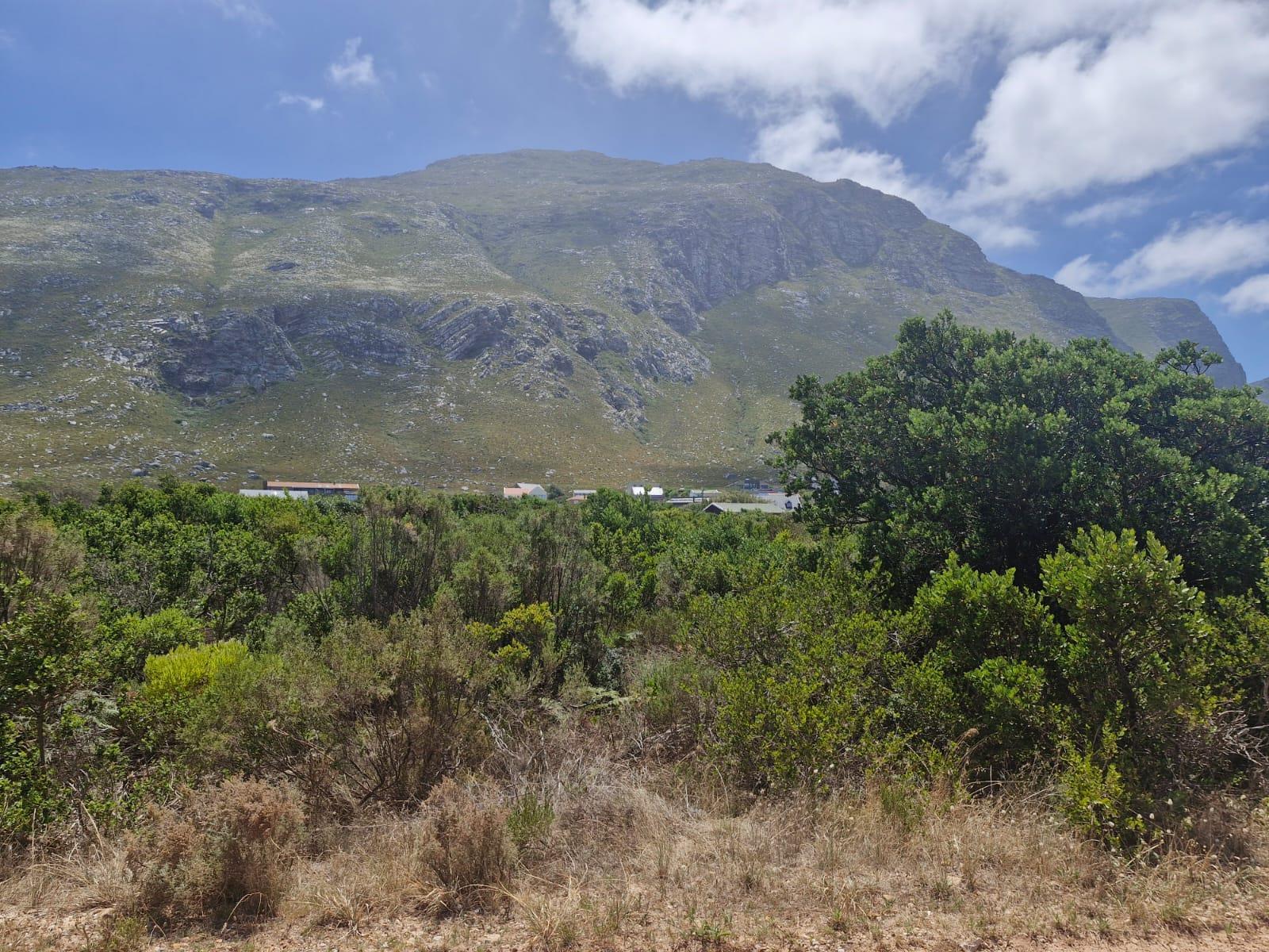 Image 4 of 6