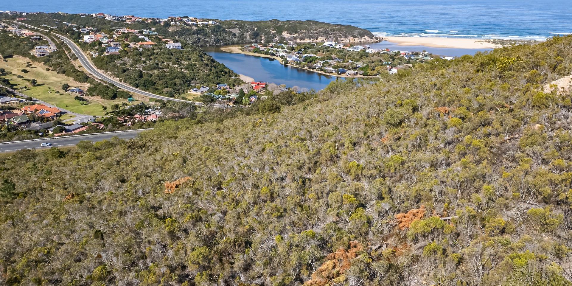 Image 4 of 6