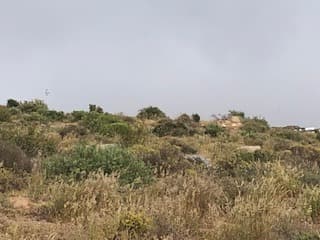 Image 18