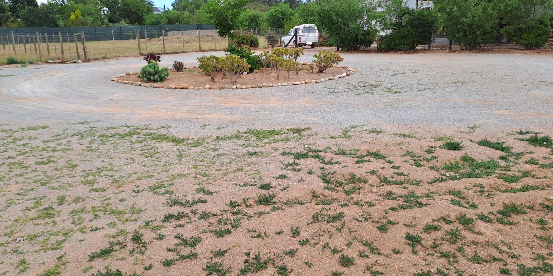 Image 4 of 6