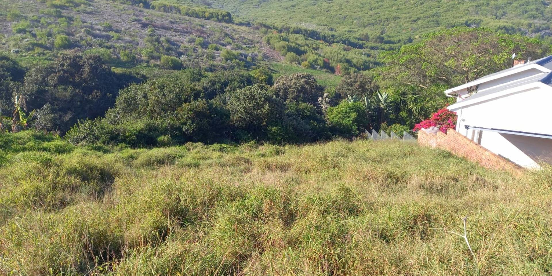 Image 2 of 6