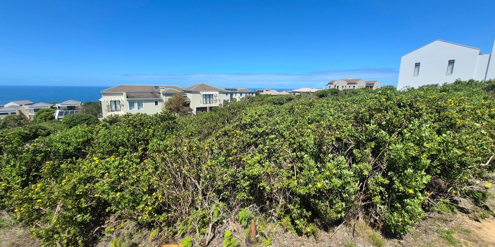 Image 4 of 6