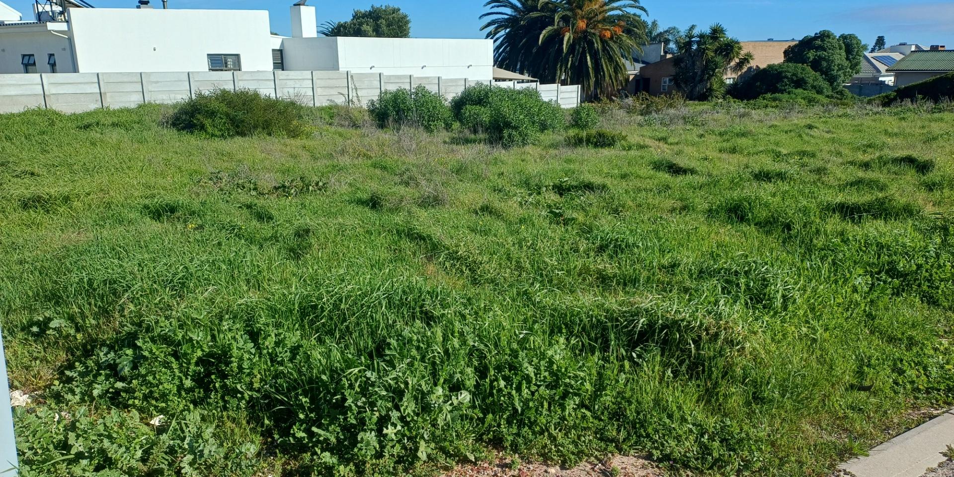 Image 2 of 6