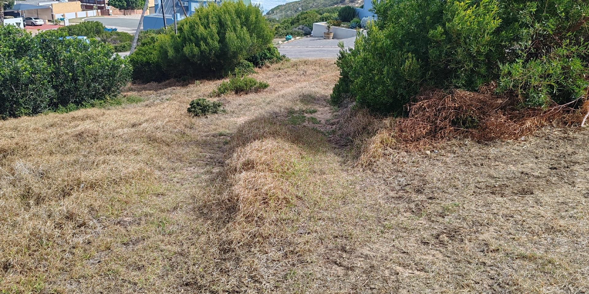 Image 5 of 6