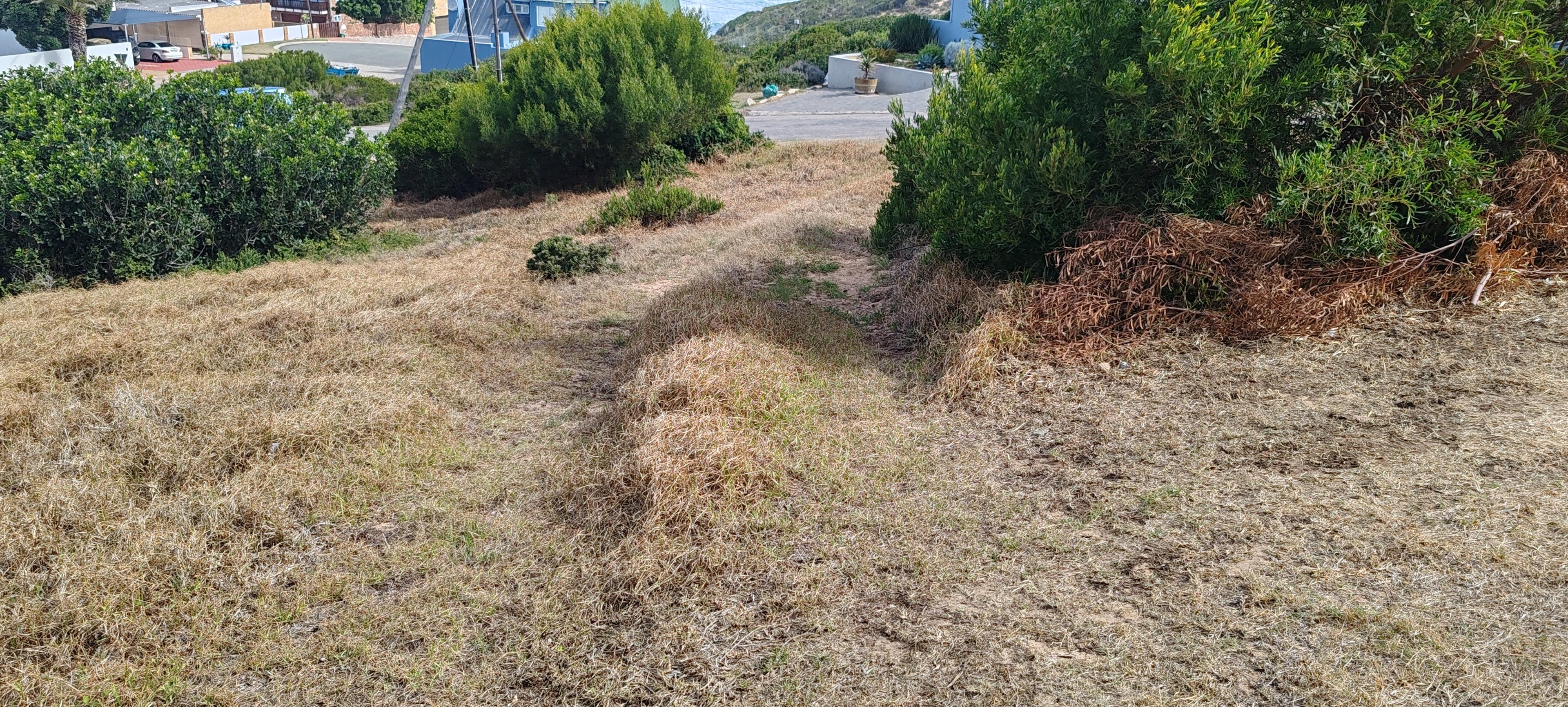 Image 5 of 6