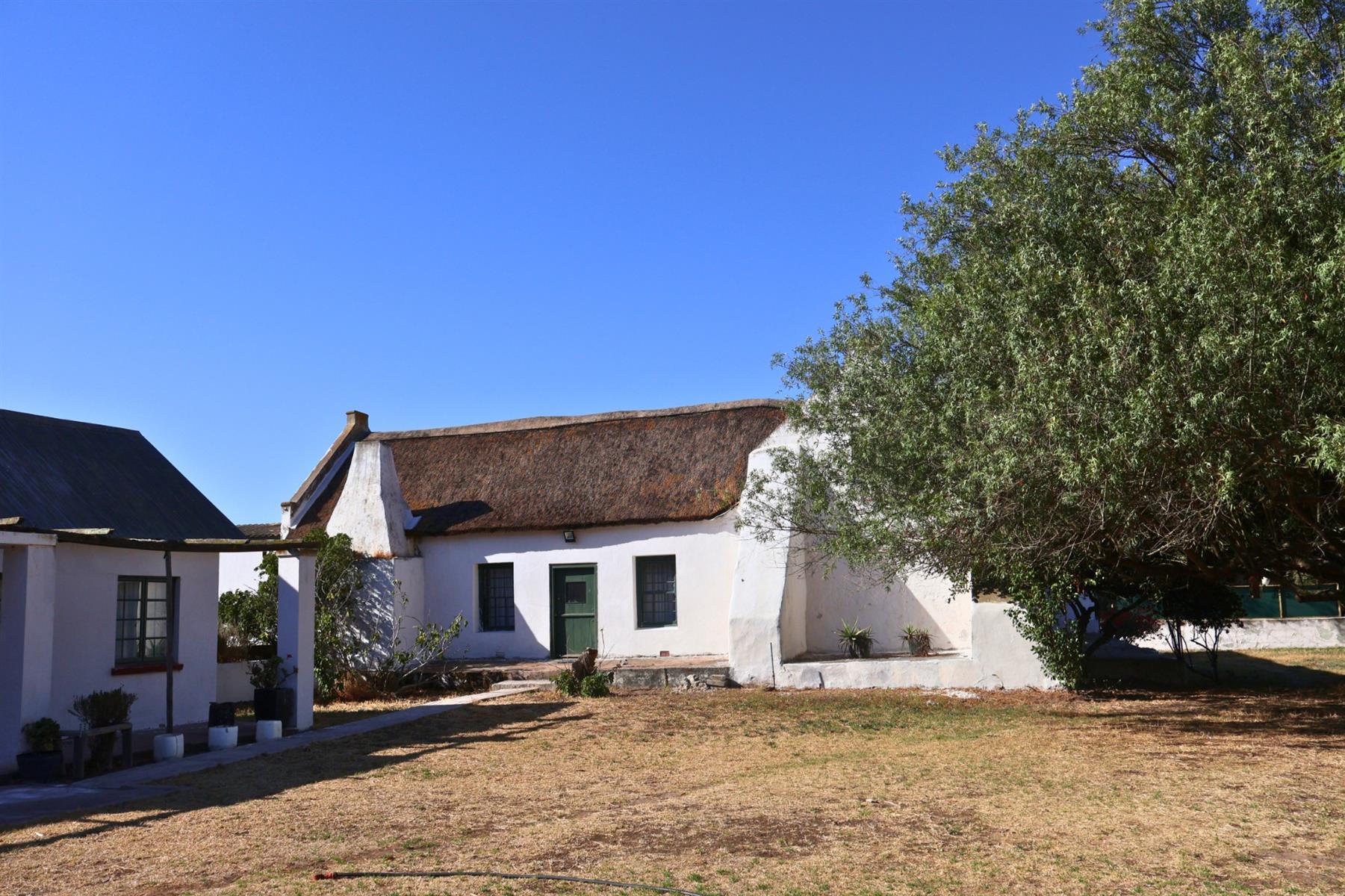 Image 8