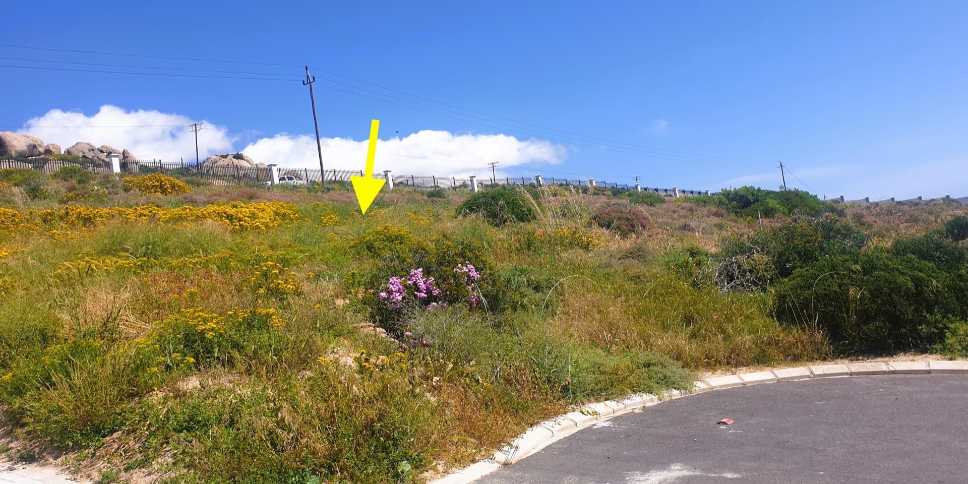 Image 4 of 6