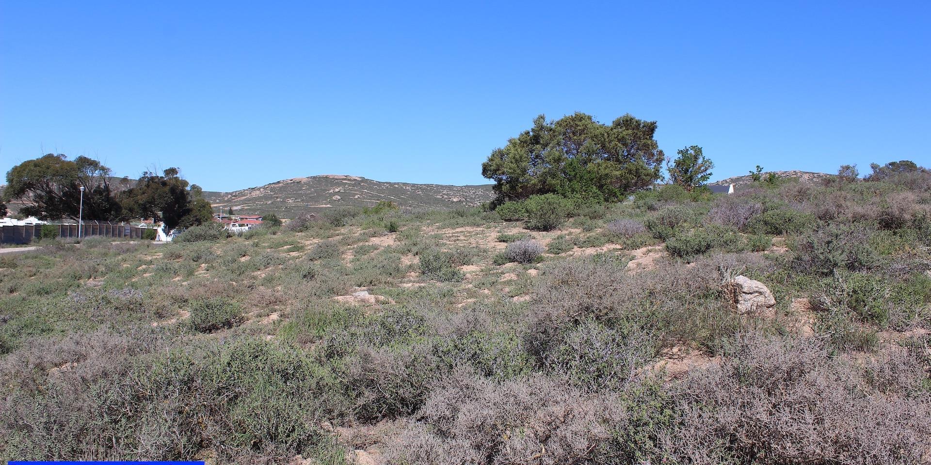 Image 4 of 6