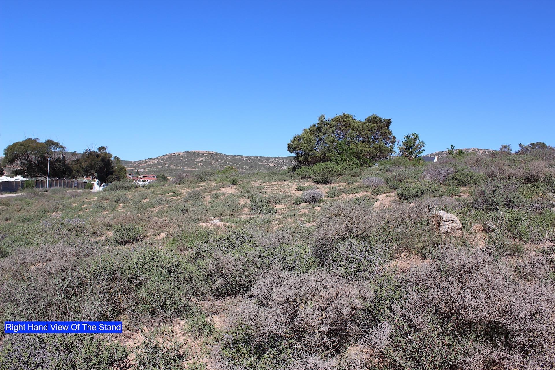 Image 4 of 6