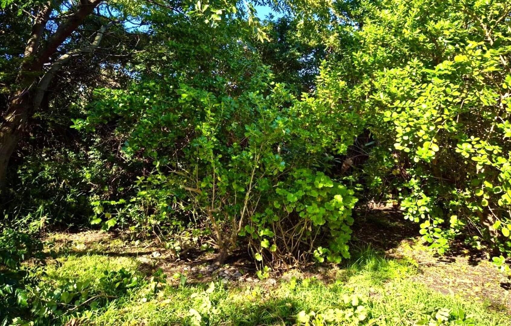 Image 22