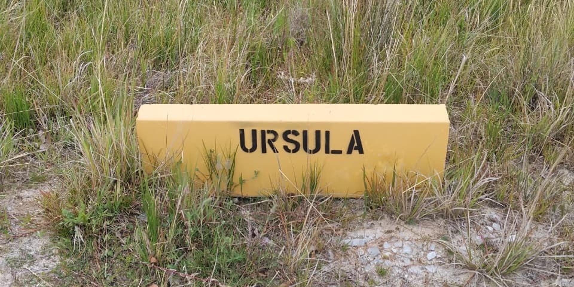 Image 5 of 6