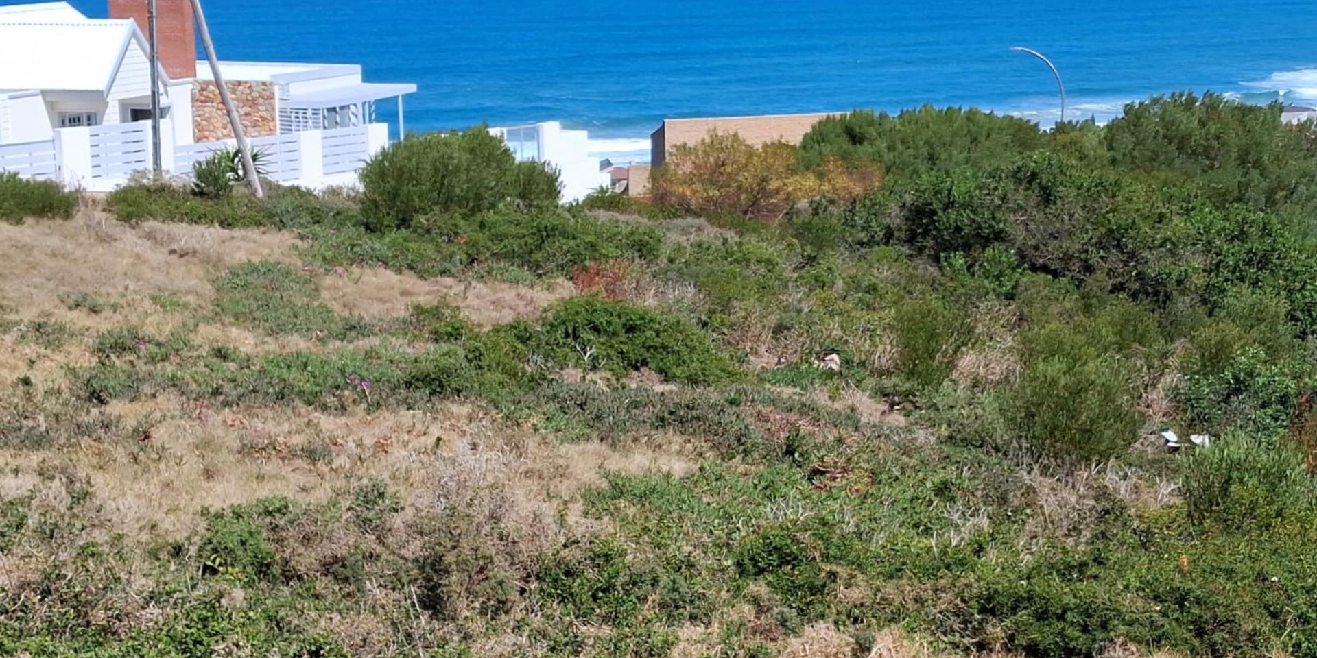 Image 4 of 6
