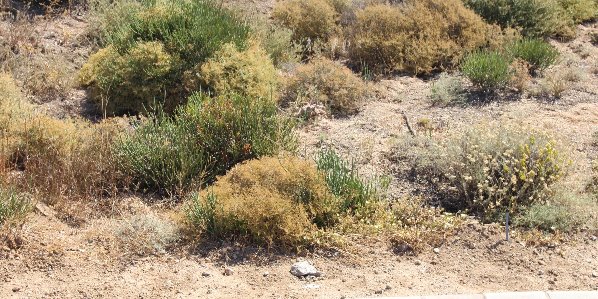 Image 4 of 6