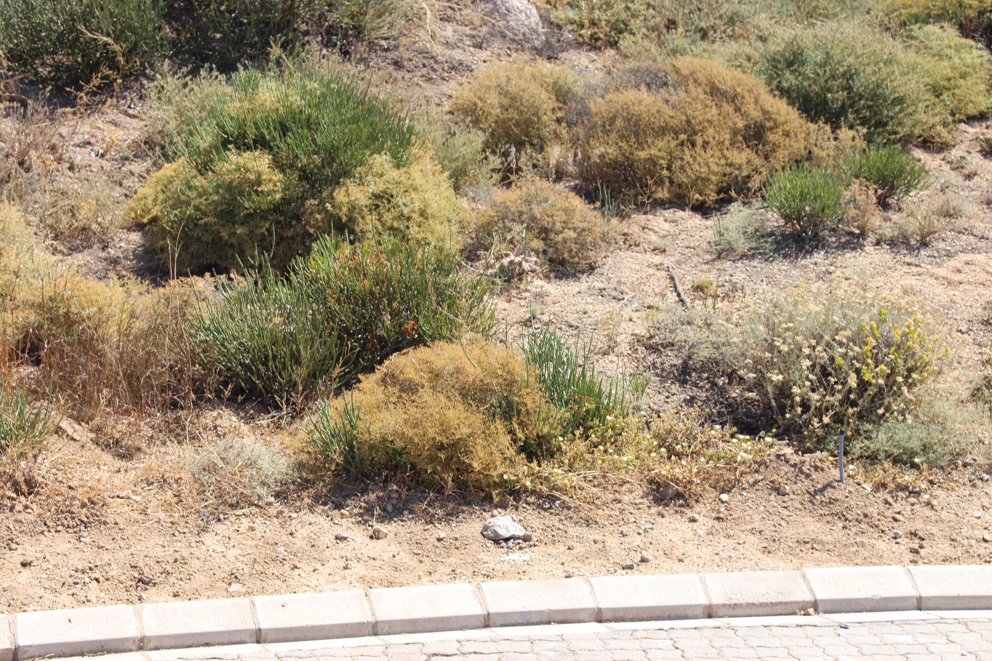 Image 4 of 6