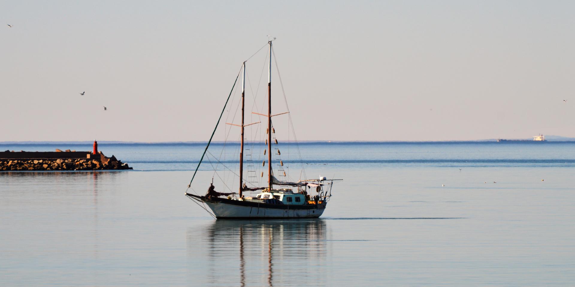 Image 5 of 6