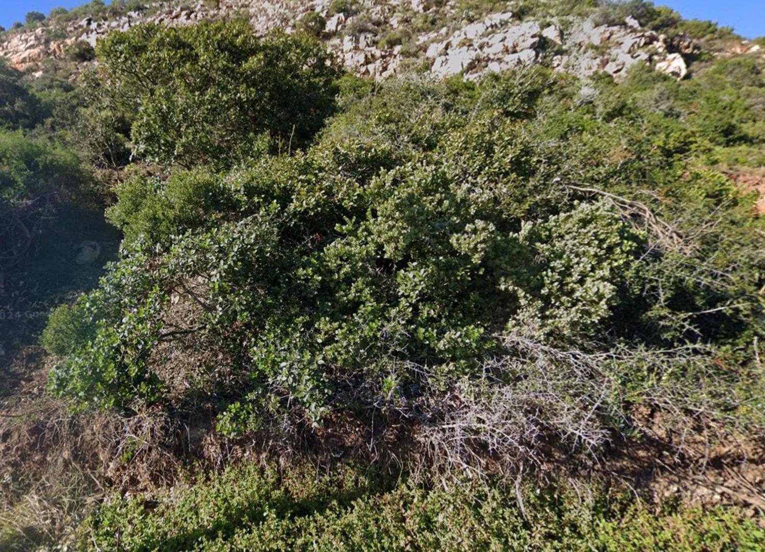 Image 12