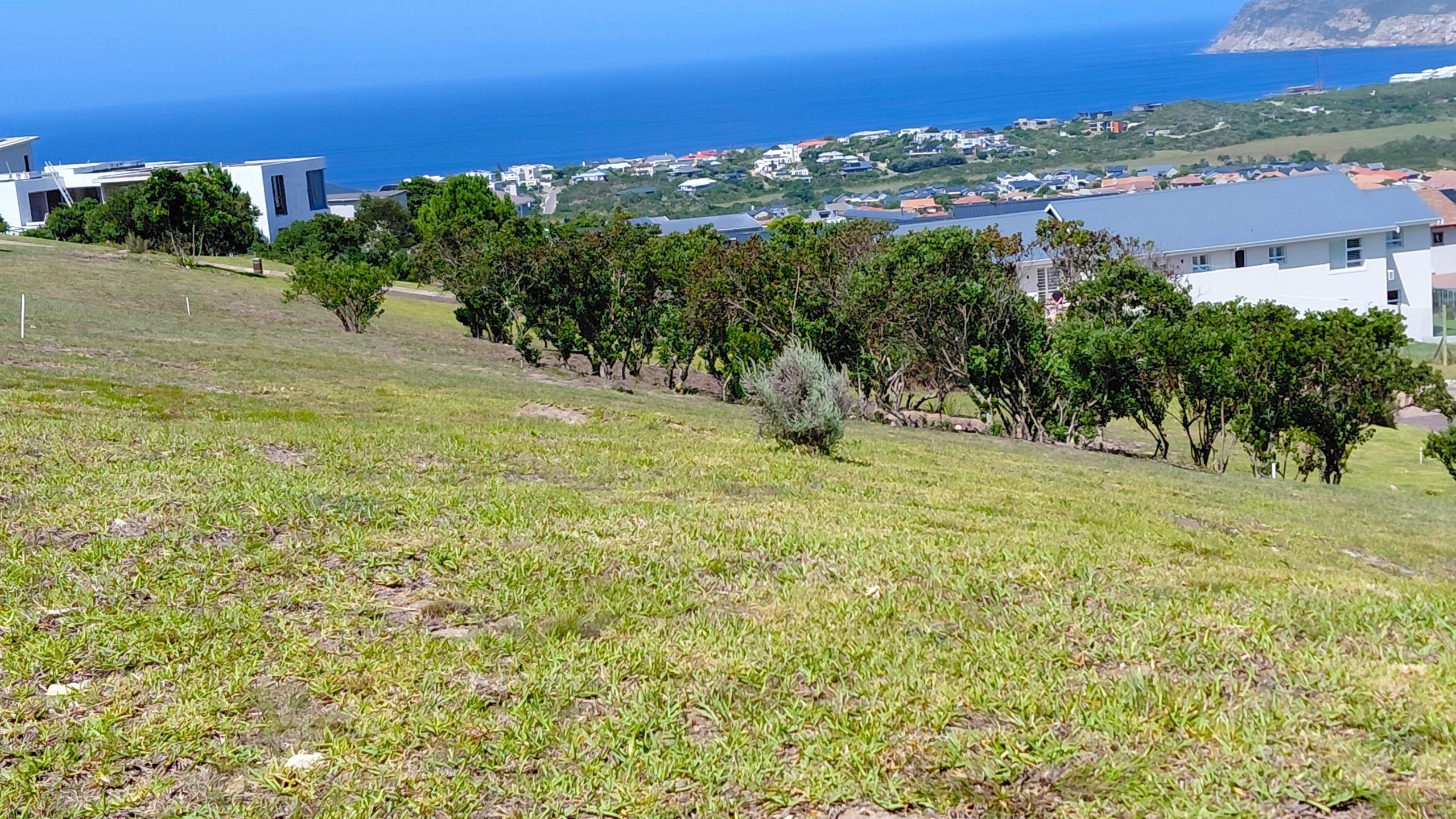 Image 5 of 6