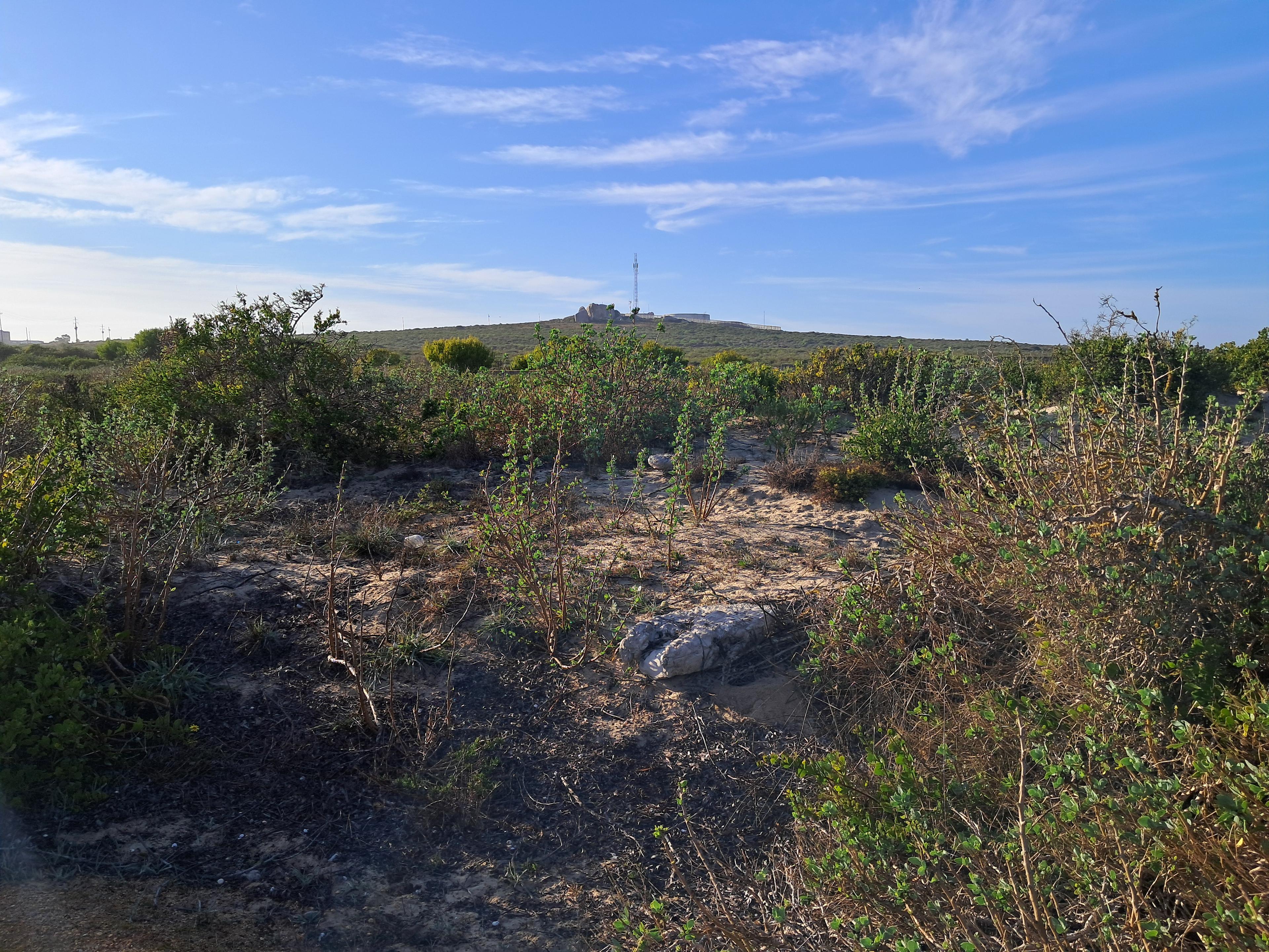 Image 3 of 6