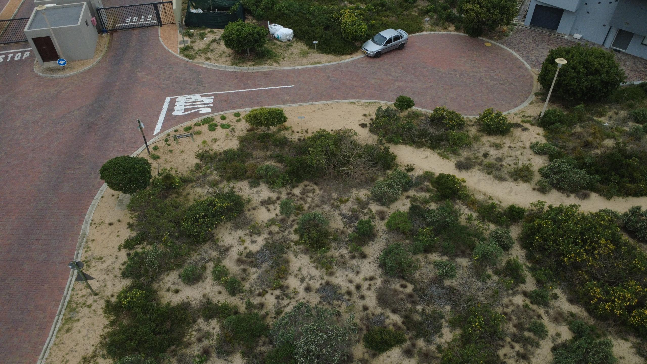 Image 4 of 6