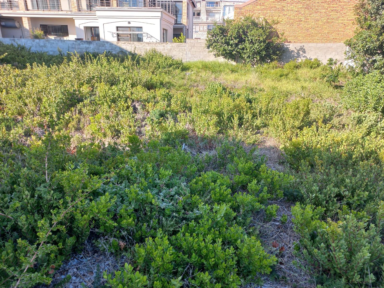 Image 3 of 6