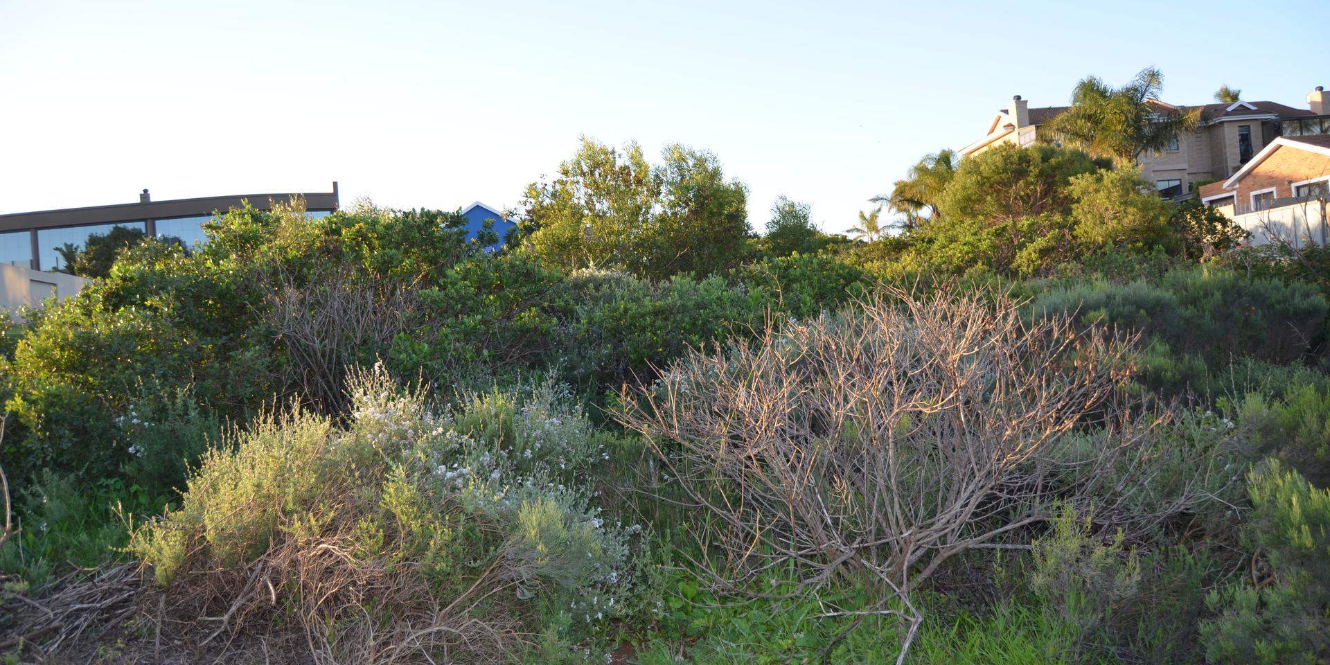 Image 5 of 6