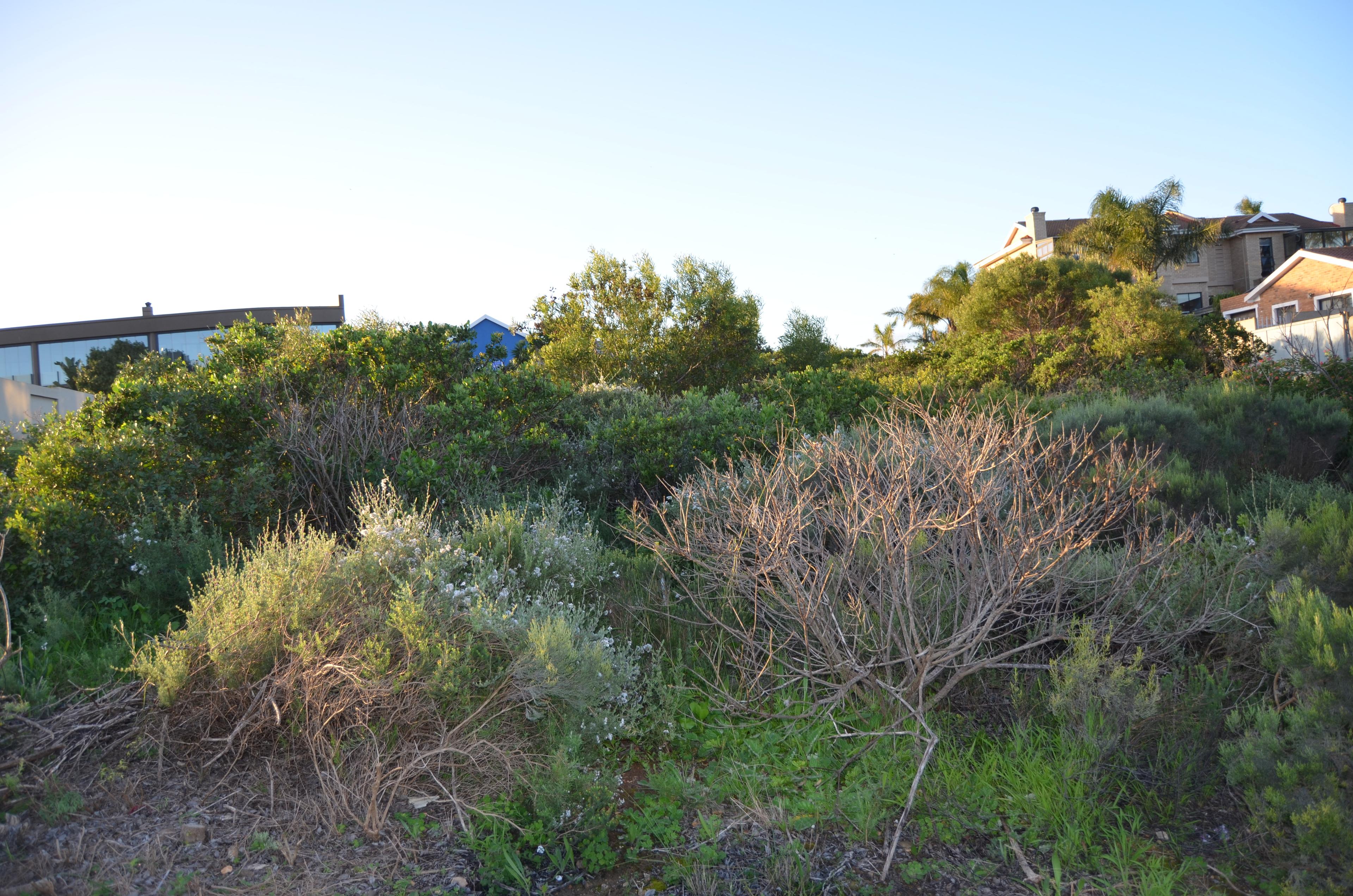 Image 5 of 6
