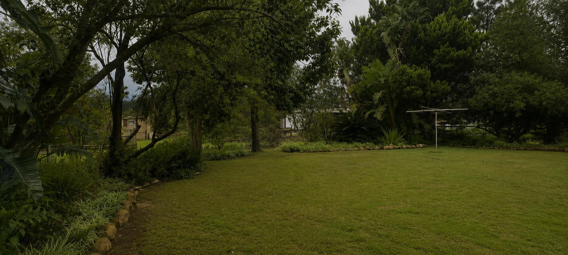 Image 32