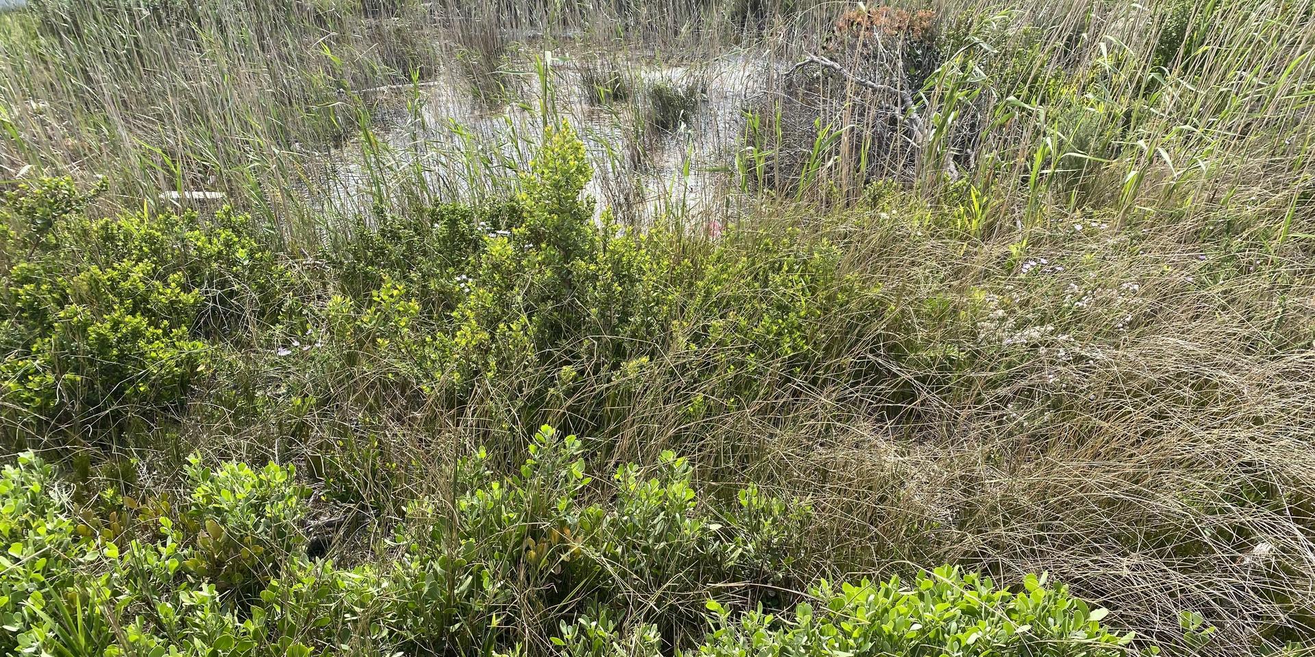 Image 2 of 6