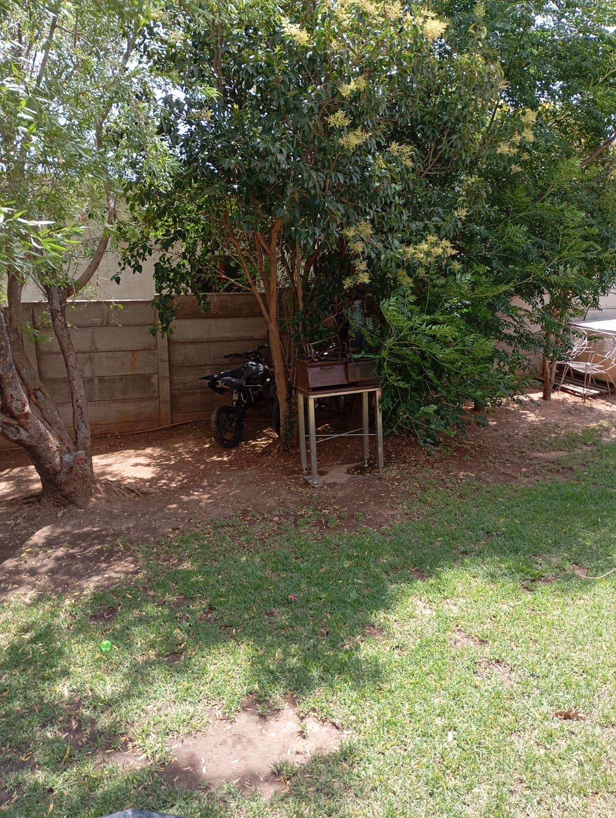Image 13