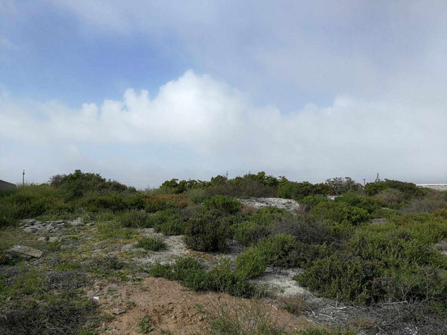 Image 2 of 6