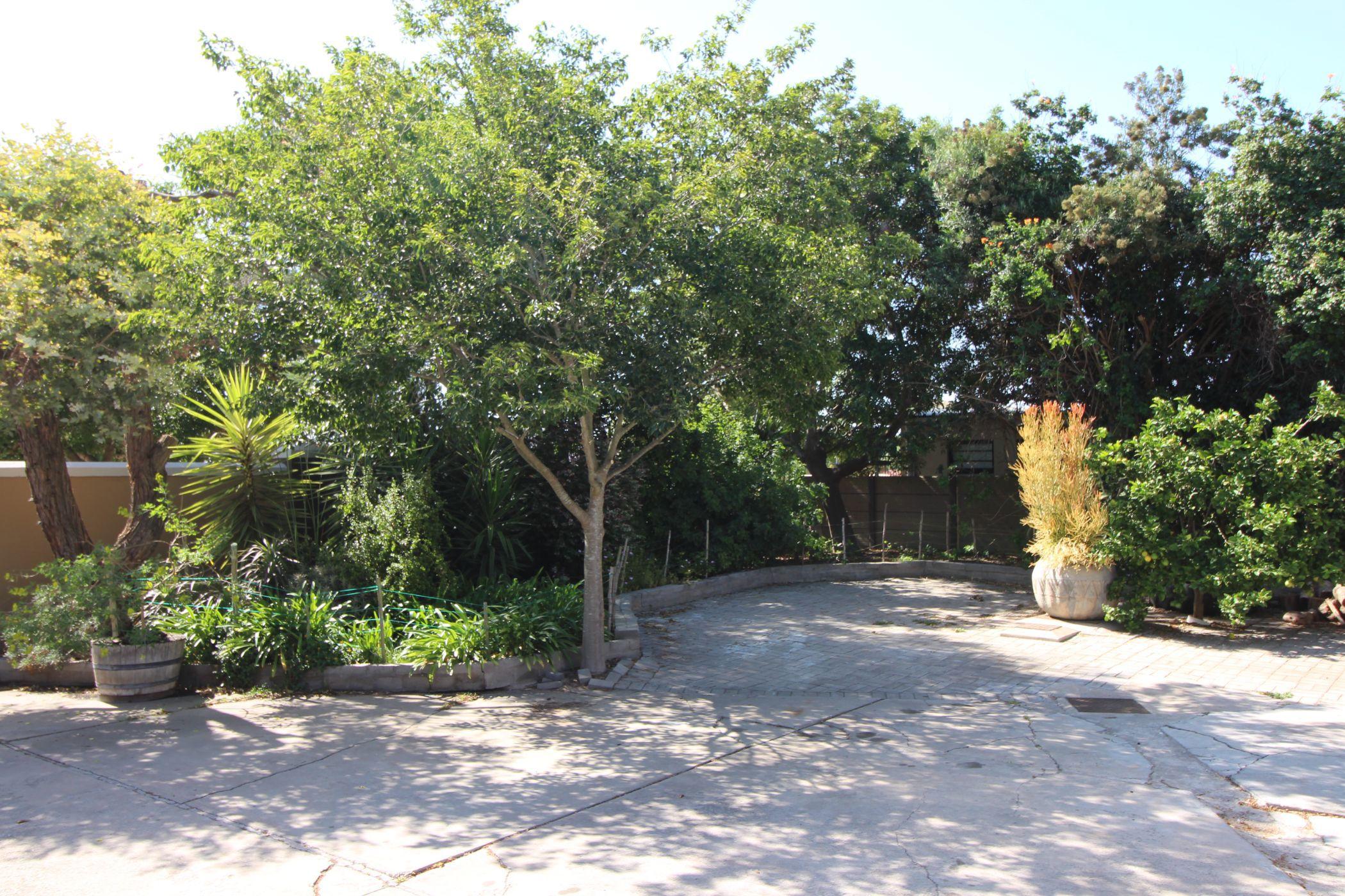 Image 21