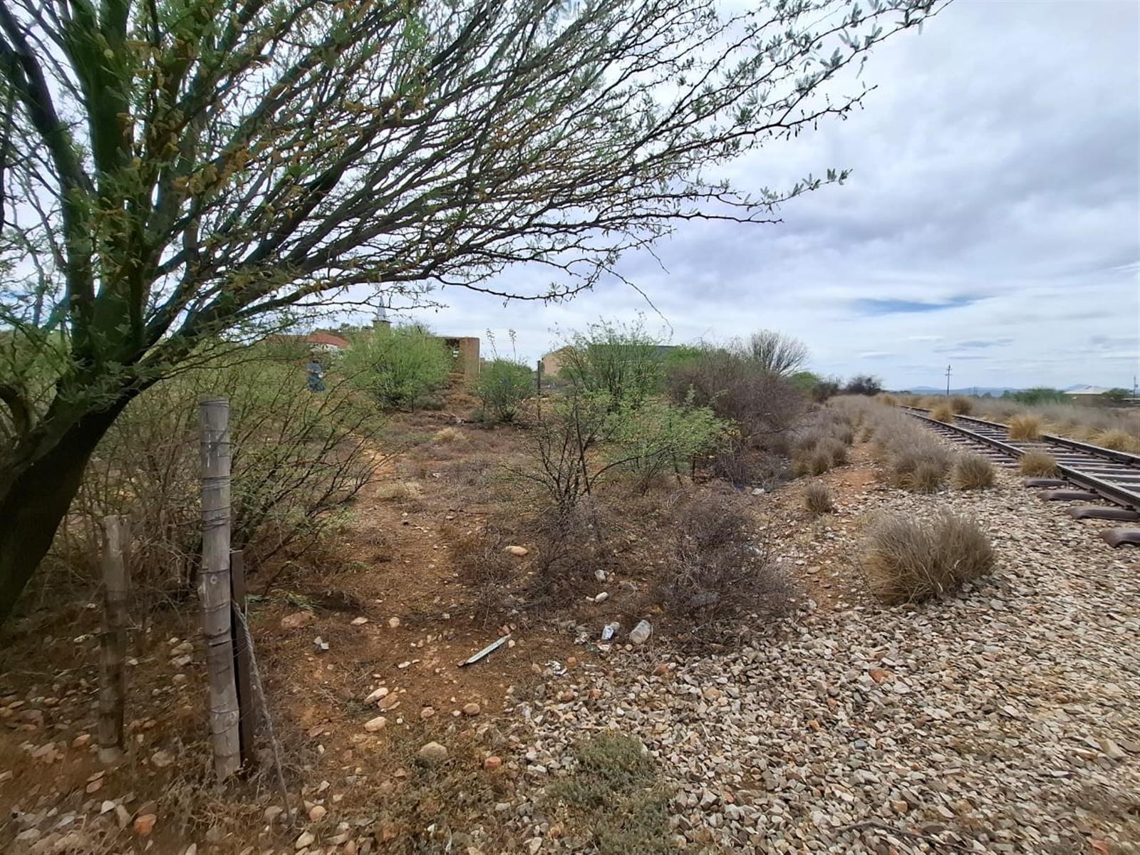 Image 10