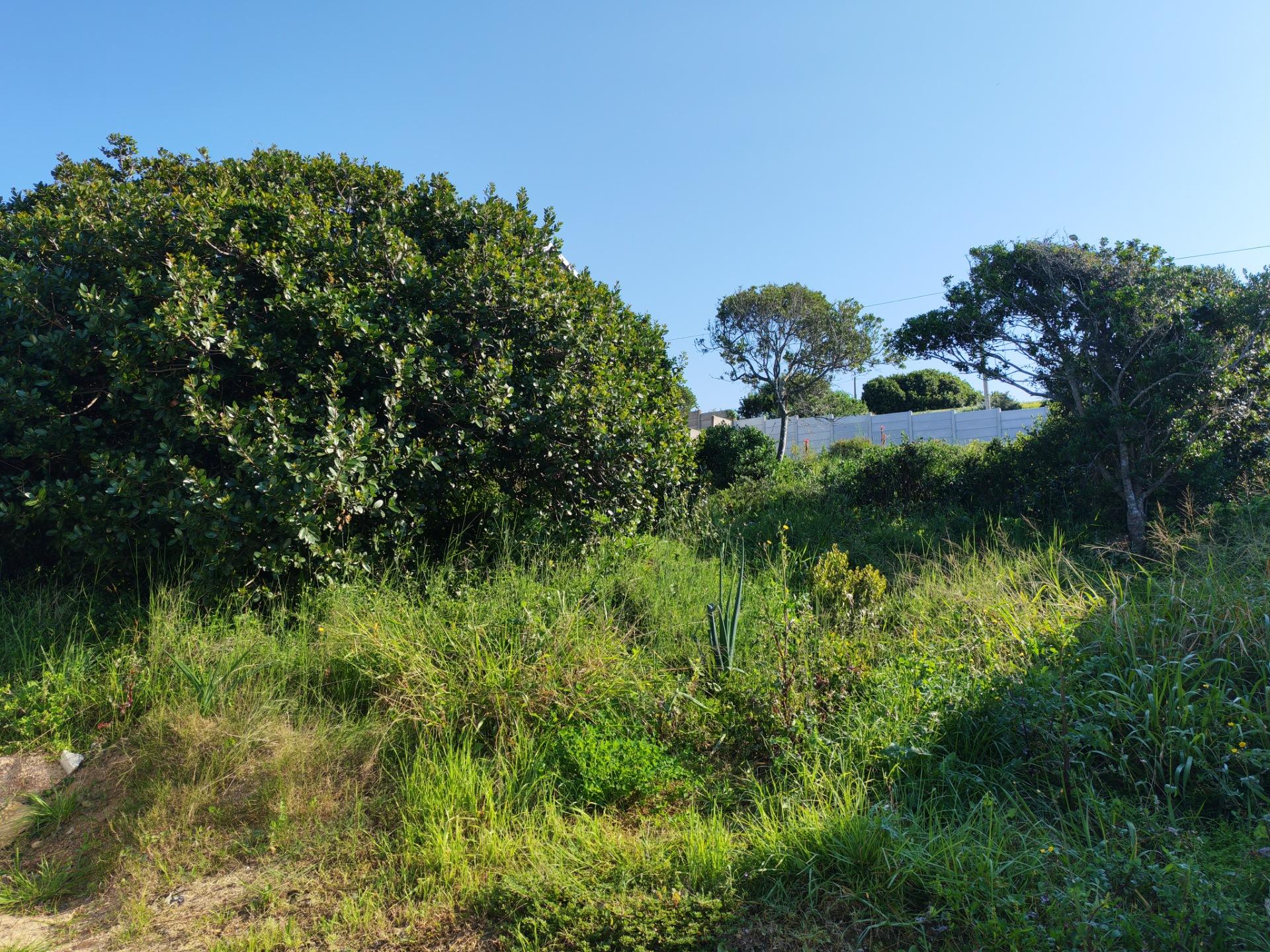Image 19
