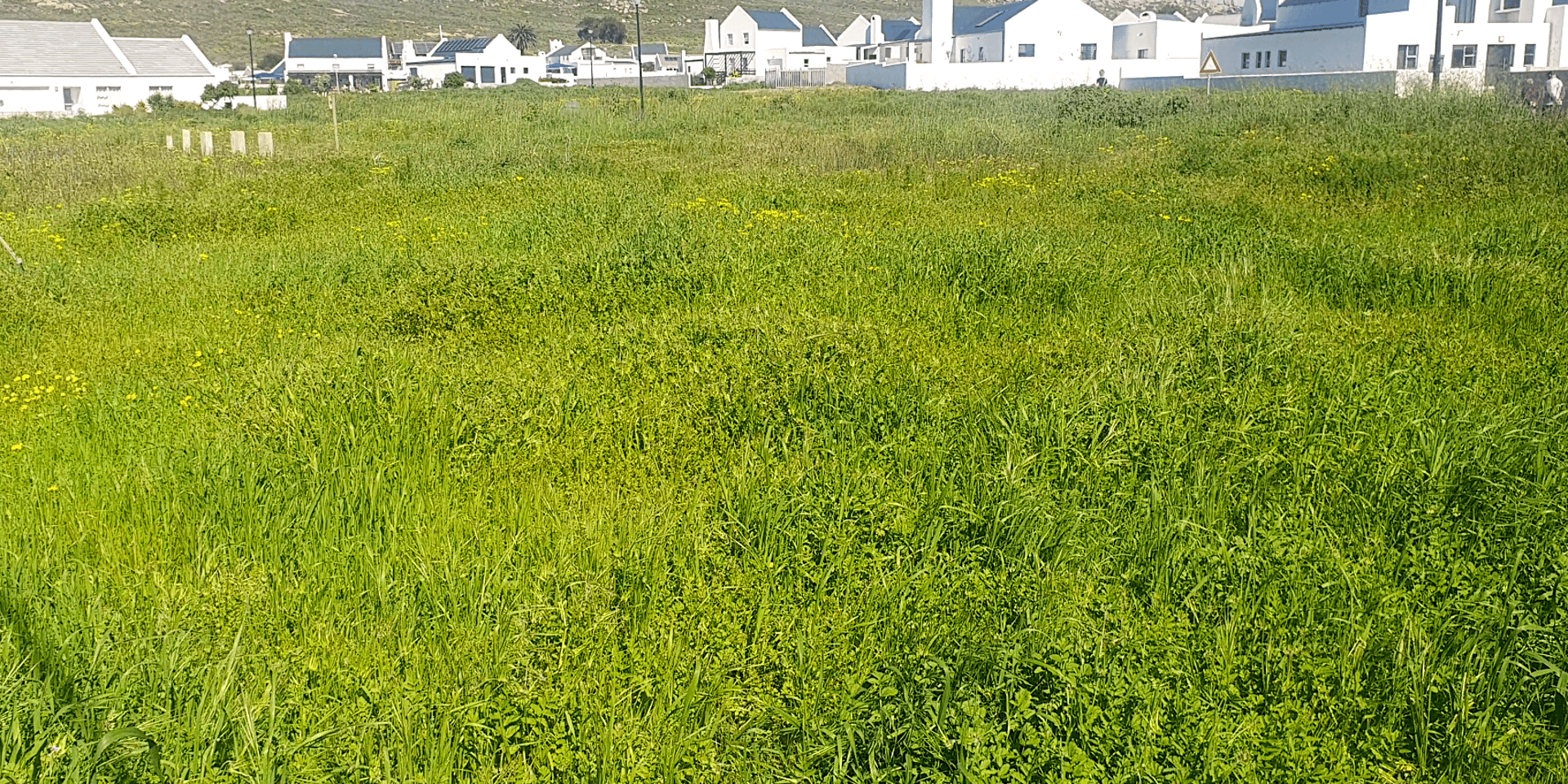 Image 2 of 6