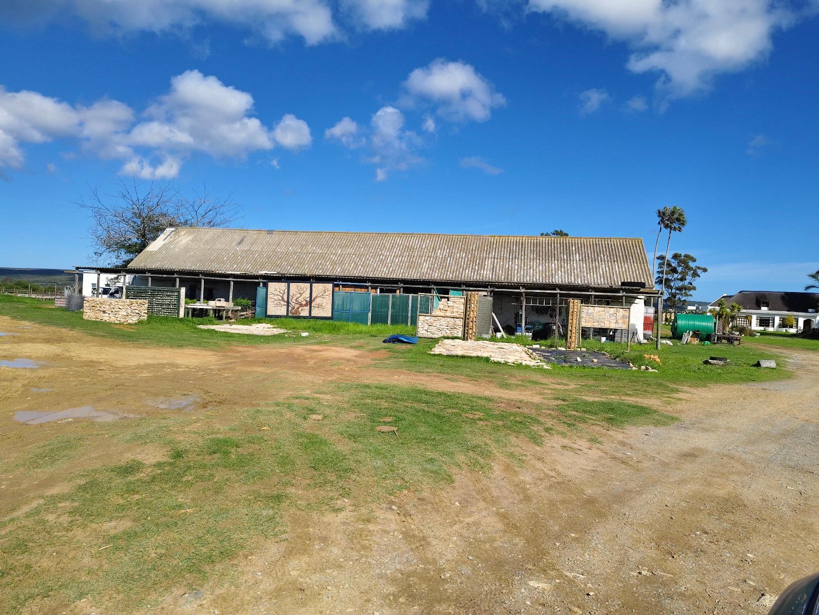Image 25