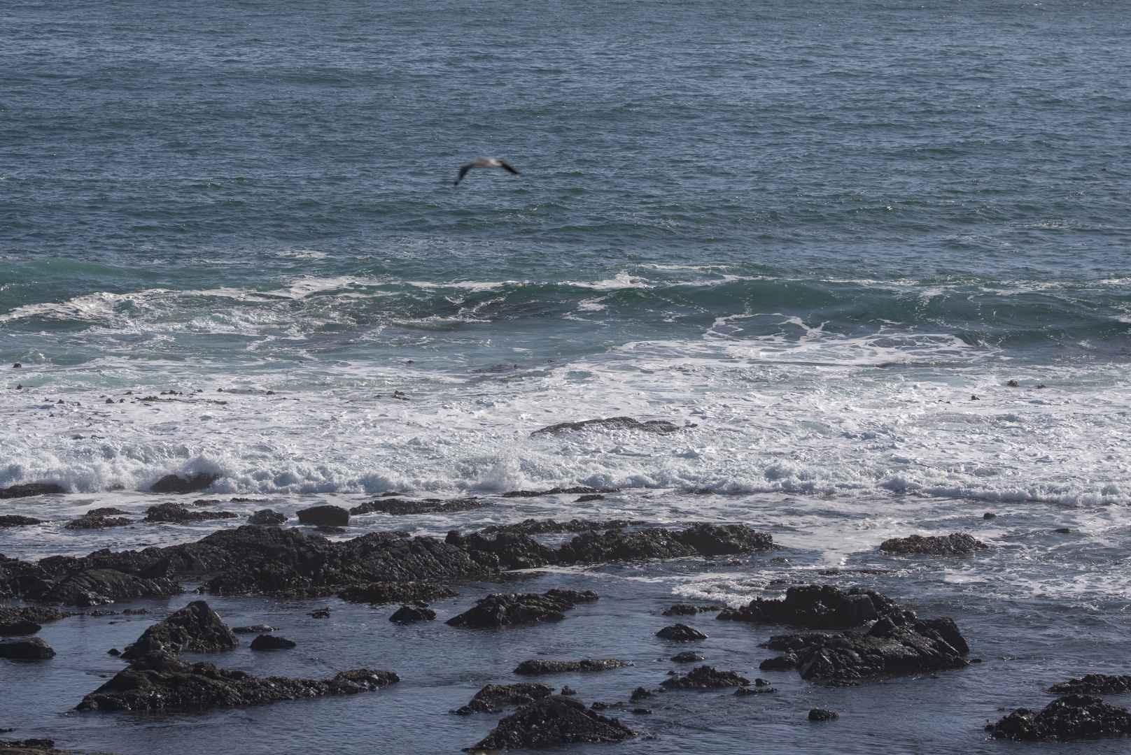 Image 37