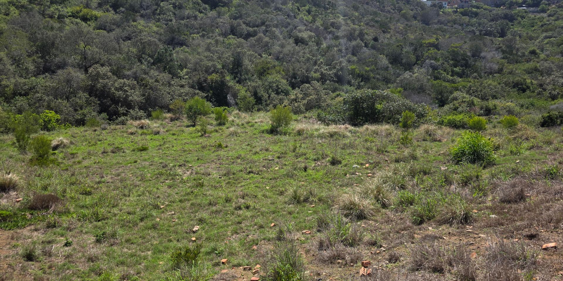 Image 5 of 6