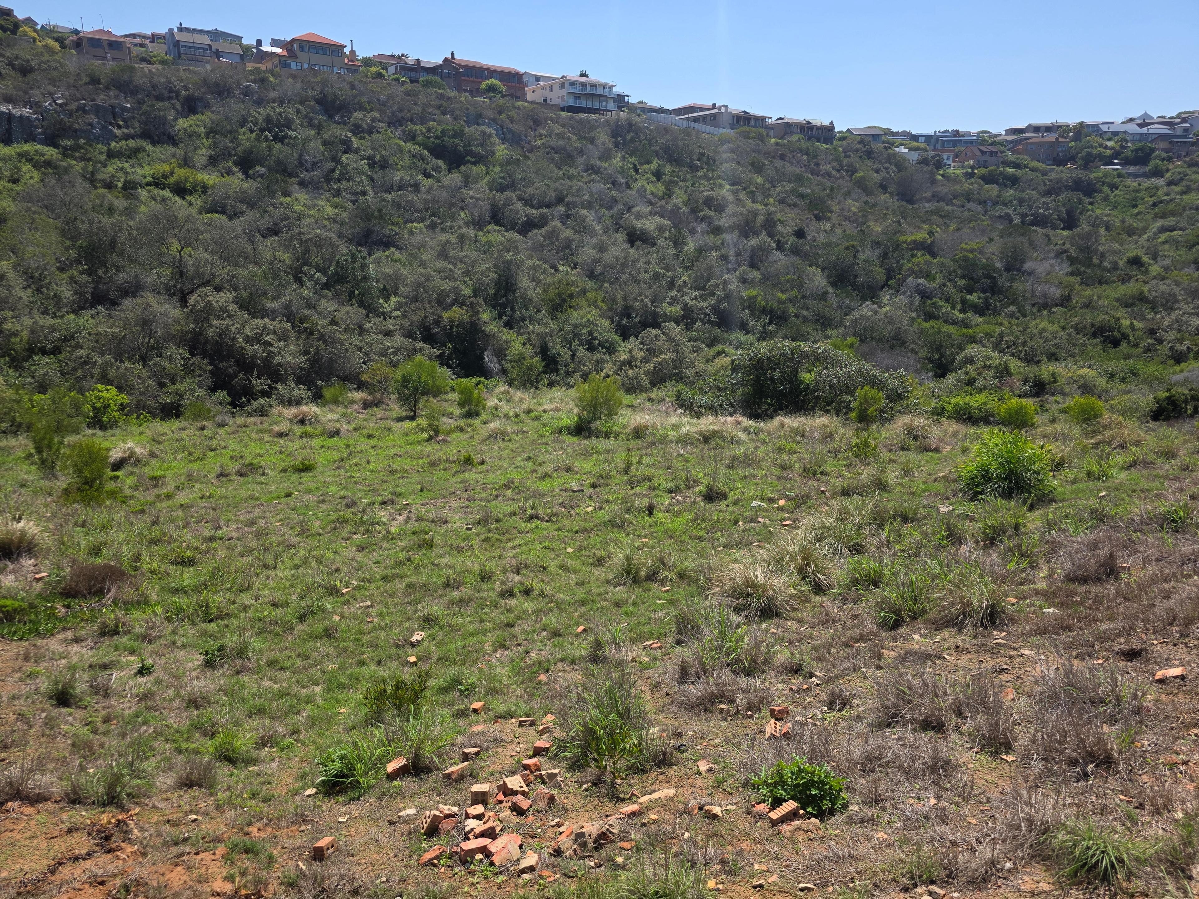 Image 5 of 6