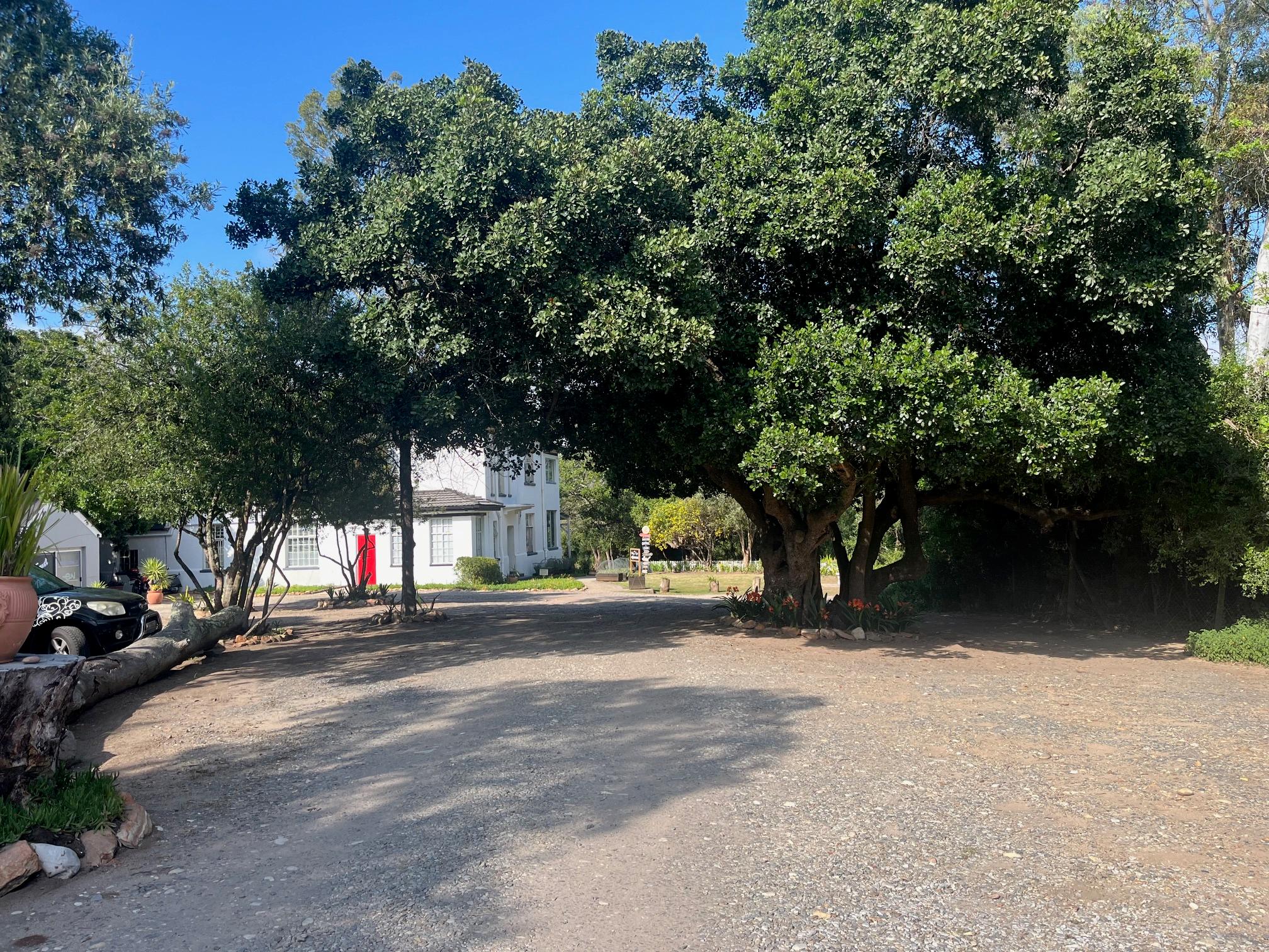 Image 4 of 6