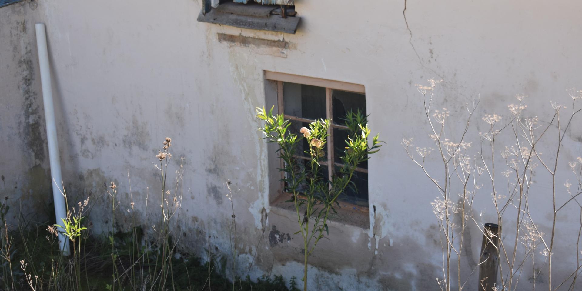 Image 3 of 6