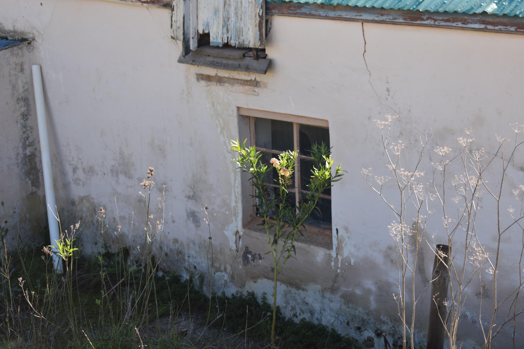 Image 3 of 6