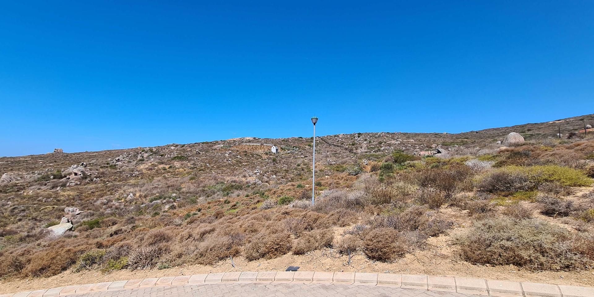 Image 4 of 6