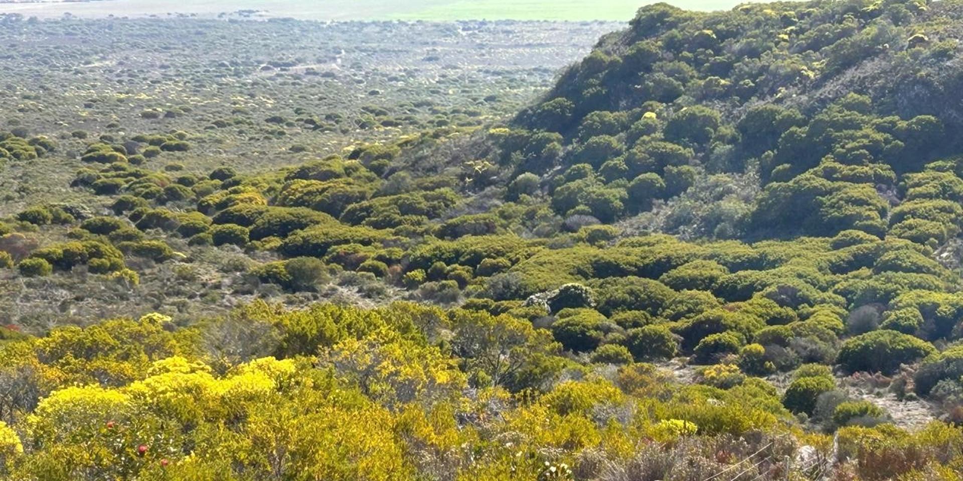 Image 4 of 6