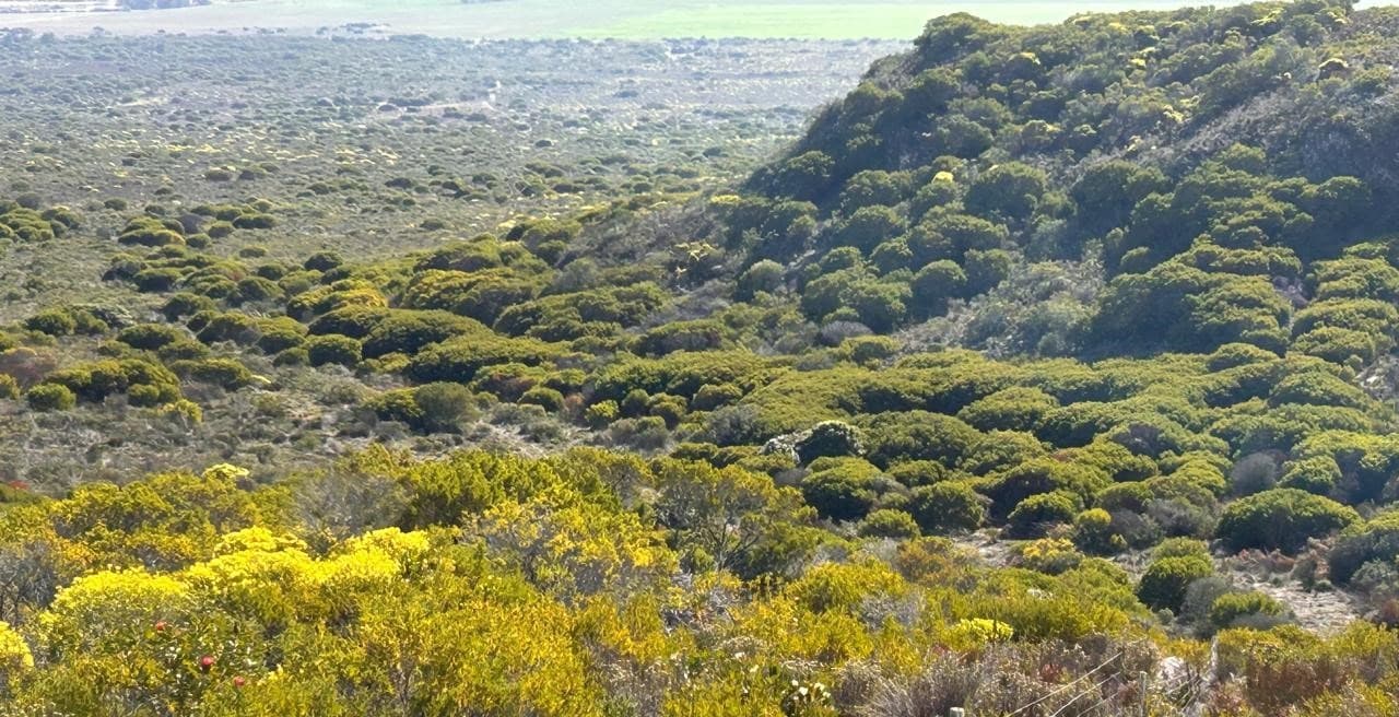Image 4 of 6