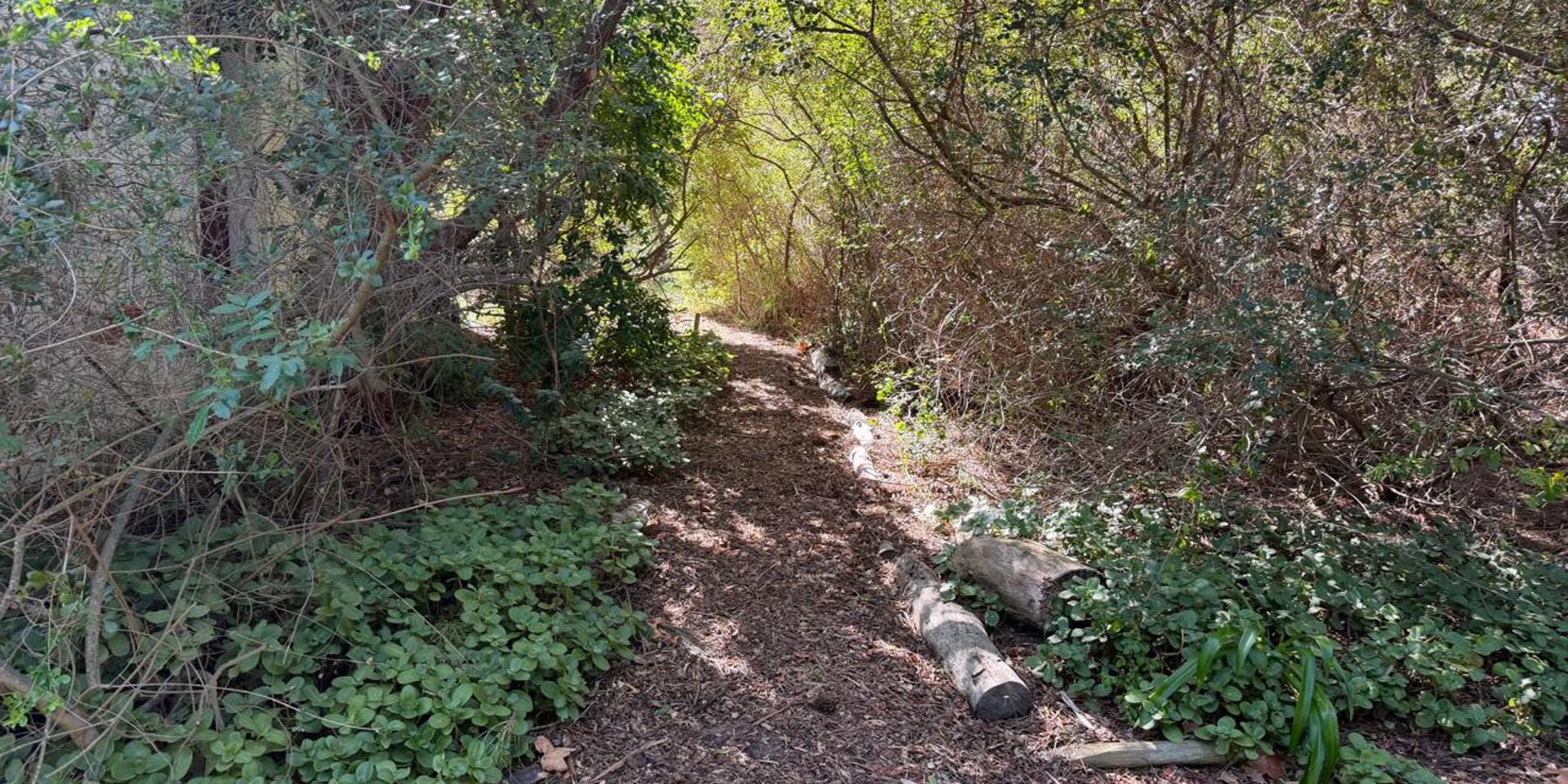 Image 4 of 6
