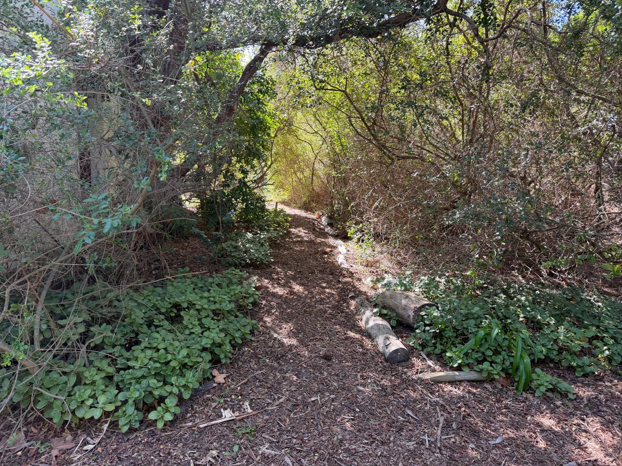 Image 4 of 6