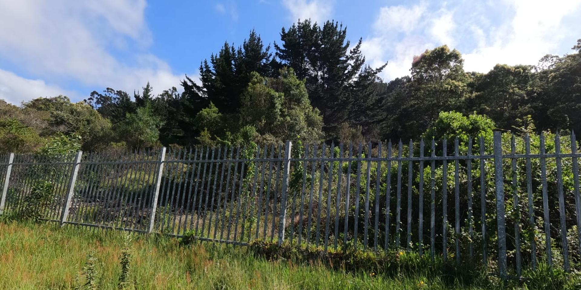 Image 2 of 6
